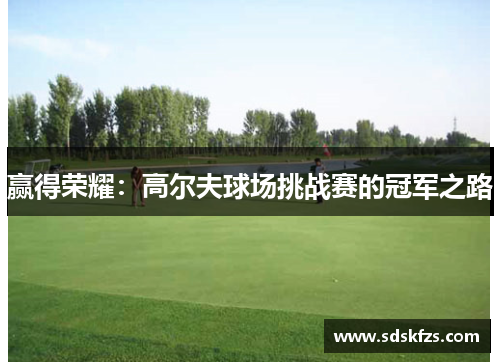 赢得荣耀：高尔夫球场挑战赛的冠军之路